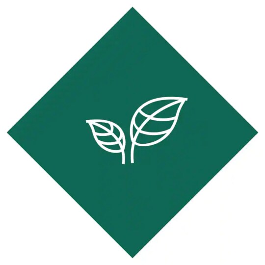 Energy savings icon