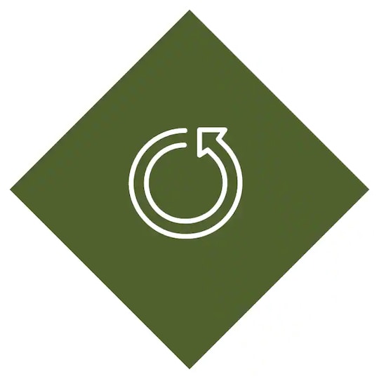 Sustainable system design icon